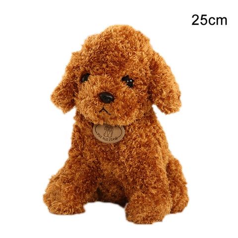 Image of Realistic Teddy Dog Lucky