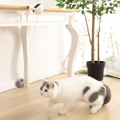 Image of Etrovea Interactive Cat Teaser Toy
