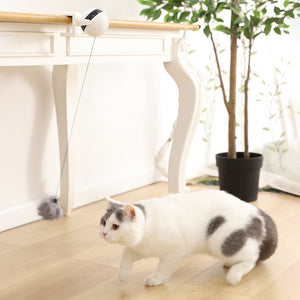 Etrovea Interactive Cat Teaser Toy