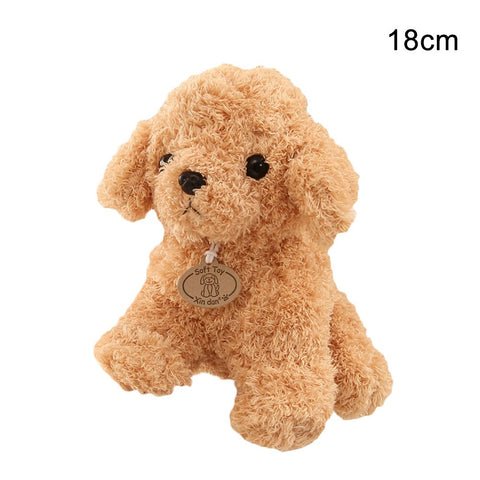 Image of Realistic Teddy Dog Lucky